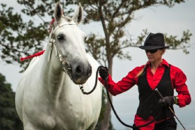 National Champion Mare